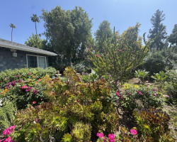 Board and Care in Riverside California 92506 at americawestplacement.com - America West Placement